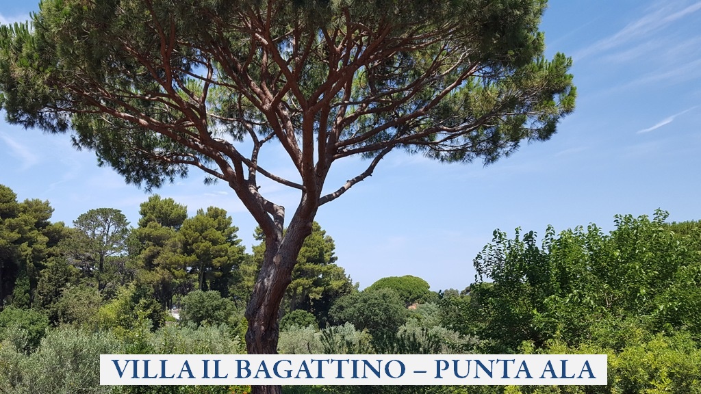 punta_ala_04