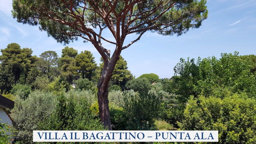 villa_il_bagattino_punta_ala_07